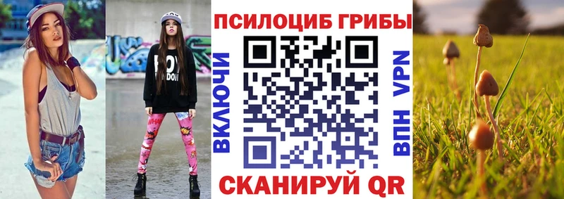 купить наркотики сайты  Яранск  Псилоцибиновые грибы прущие грибы 